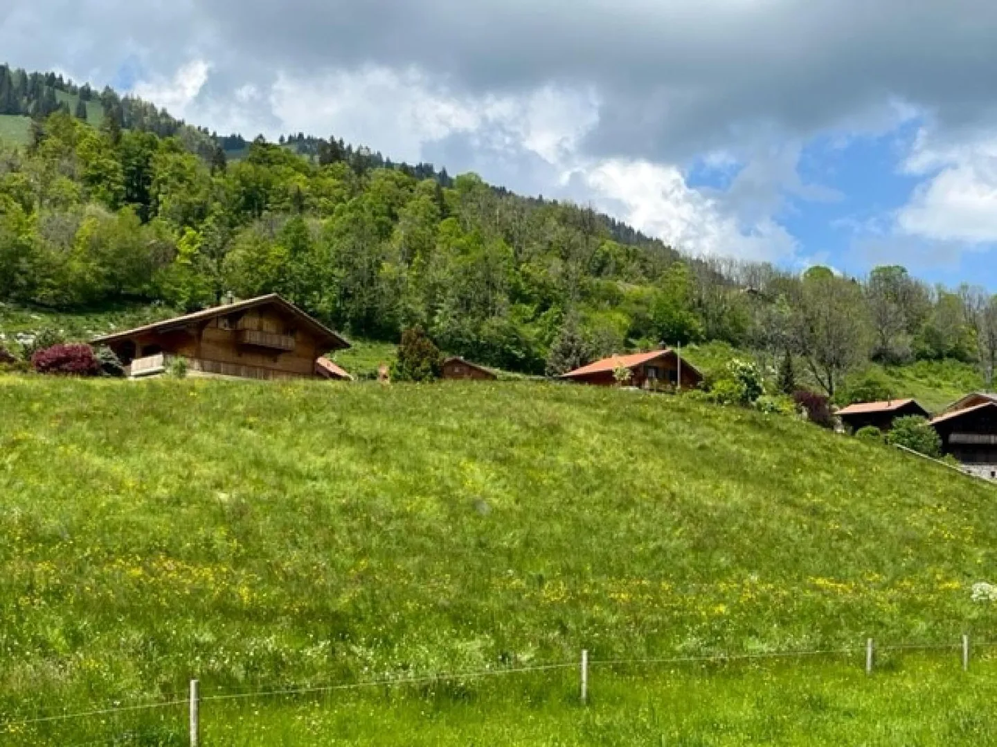 A0 - New 2.5-Room Apartment on the Ground Floor in Sciernes d'Albeuve - Photo 6 of 10