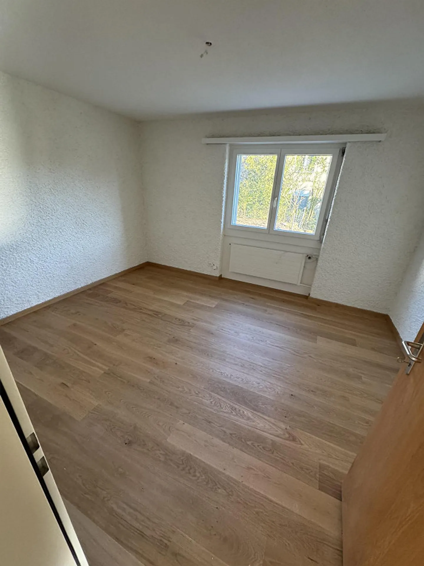 Rural yet central - friendly roommate wanted - Photo 2 of 8