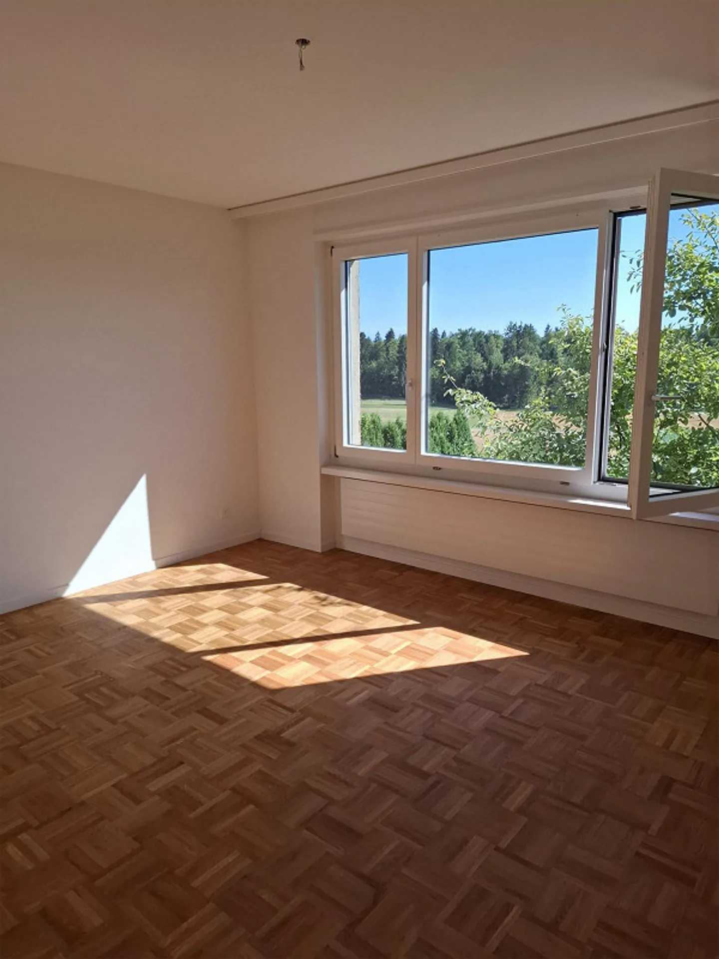 3 1/2 Zimmer Wohnung in Augwil/Lufingen - Photo 3 of 7