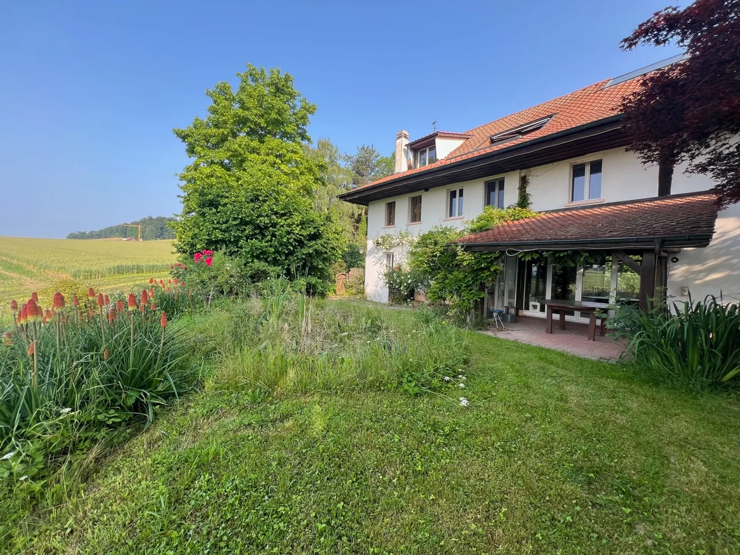 Farm converted into 2 spacious apartments - Photo 2 of 8