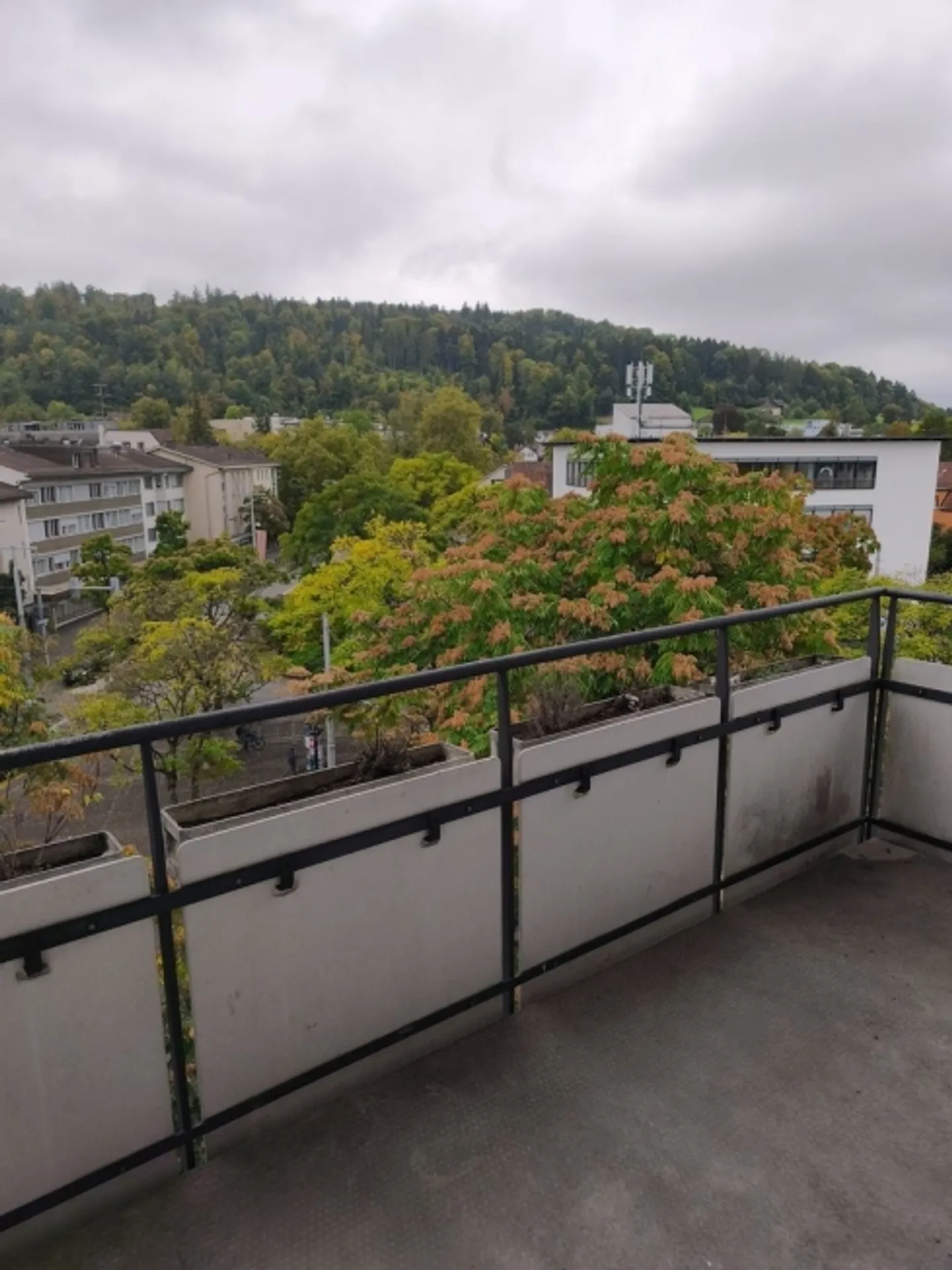 4.5-room apartment at Schwamendingerplatz - Photo 8 of 9