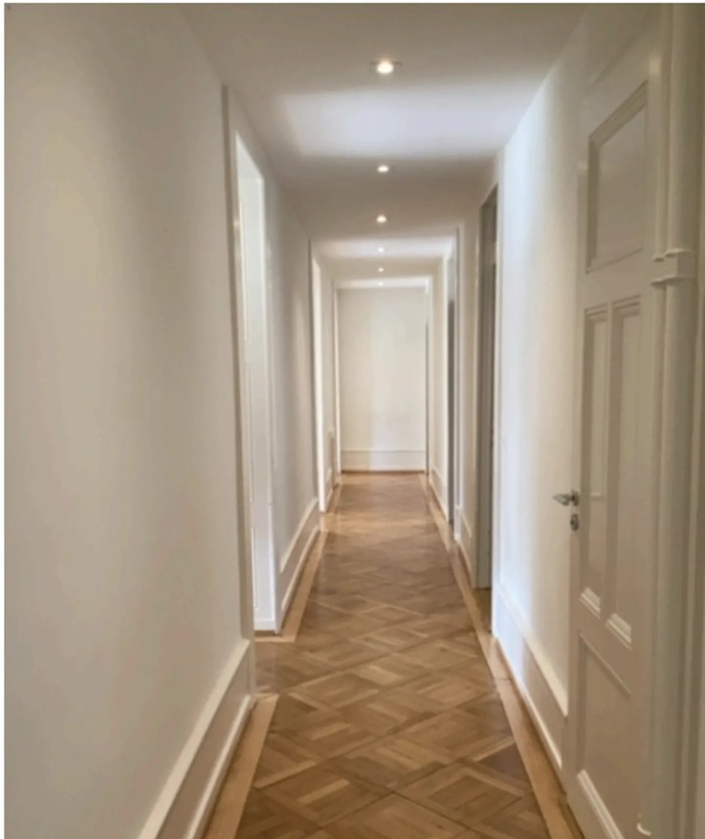 Living in the Heart of Plainpalais - Photo 9 of 9