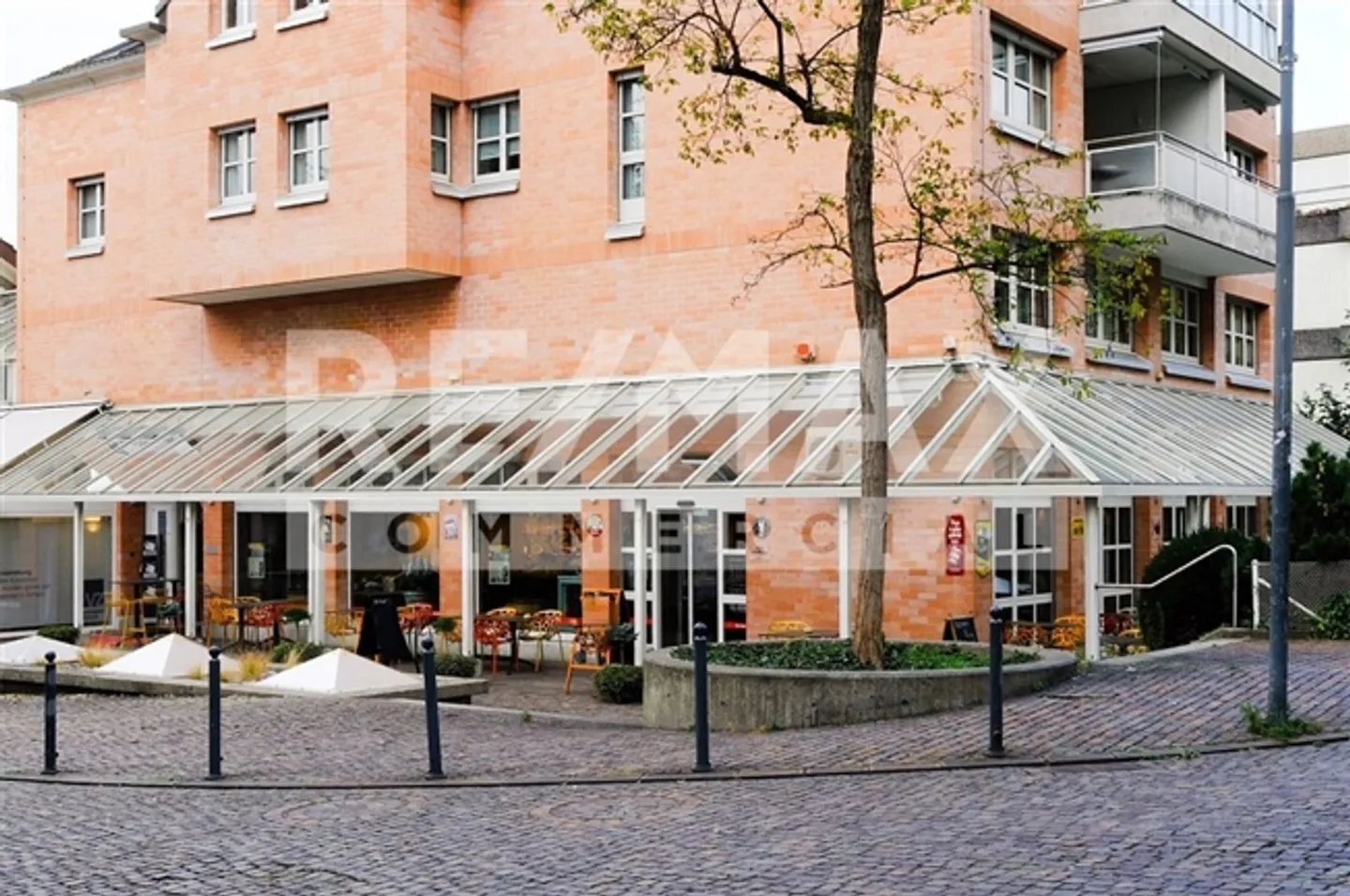 Fattoria di coltivazione - Foto 1 di 13