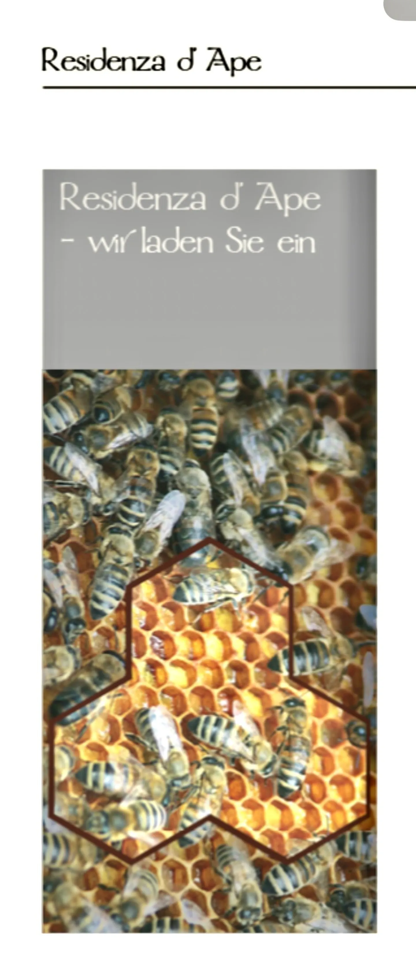 Abitare nella vecchiaia e prima... - Foto 5 di 8