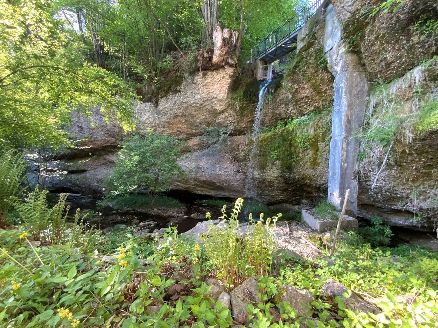 Natura pura e privacy presso la cascata - Foto 7 di 10