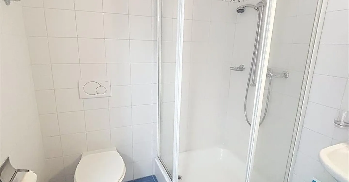 Wunderschöne 4,5-Zimmer-Wohnung mit Panoramablick in Chernex - Foto 18 von 25