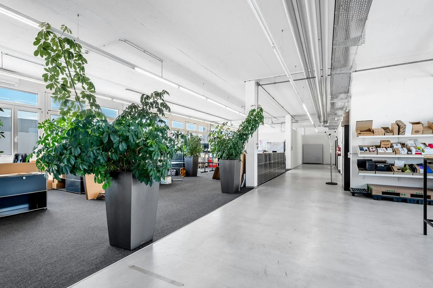 Capannone di 1'300 m2 alto 5,5 m con area di consegna generosa, grande... - Foto 9 di 12