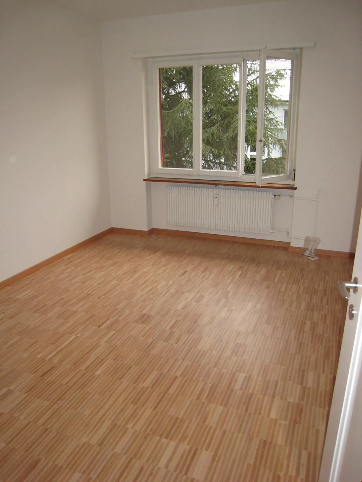 Charmante Wohnung mit Balkonen - Foto 4 von 7