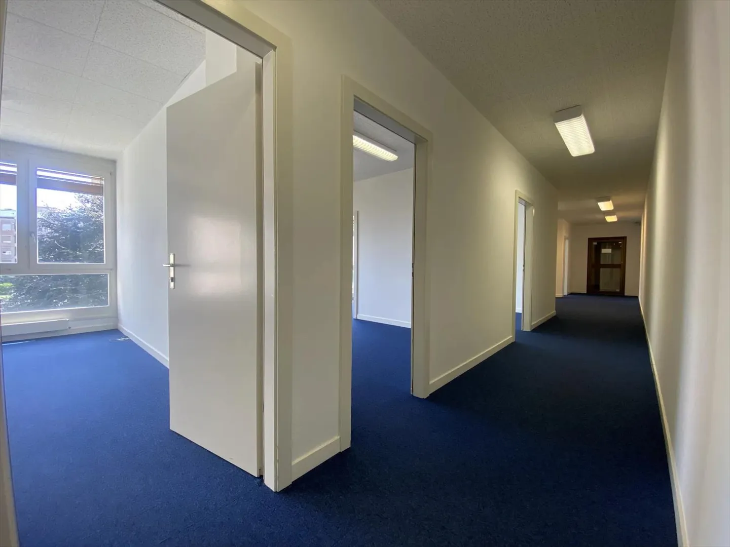 «Büros in Carouge» - Foto 2 von 13