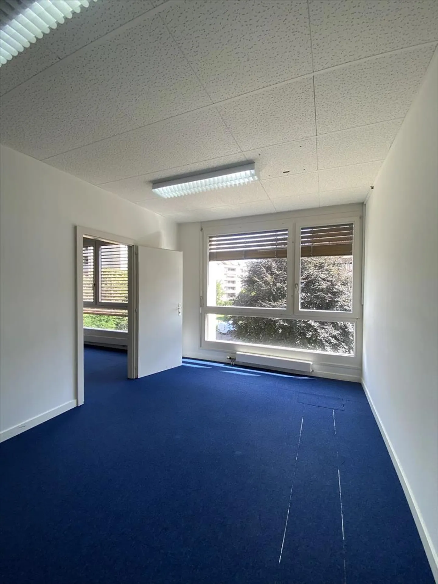 «Büros in Carouge» - Foto 11 von 13