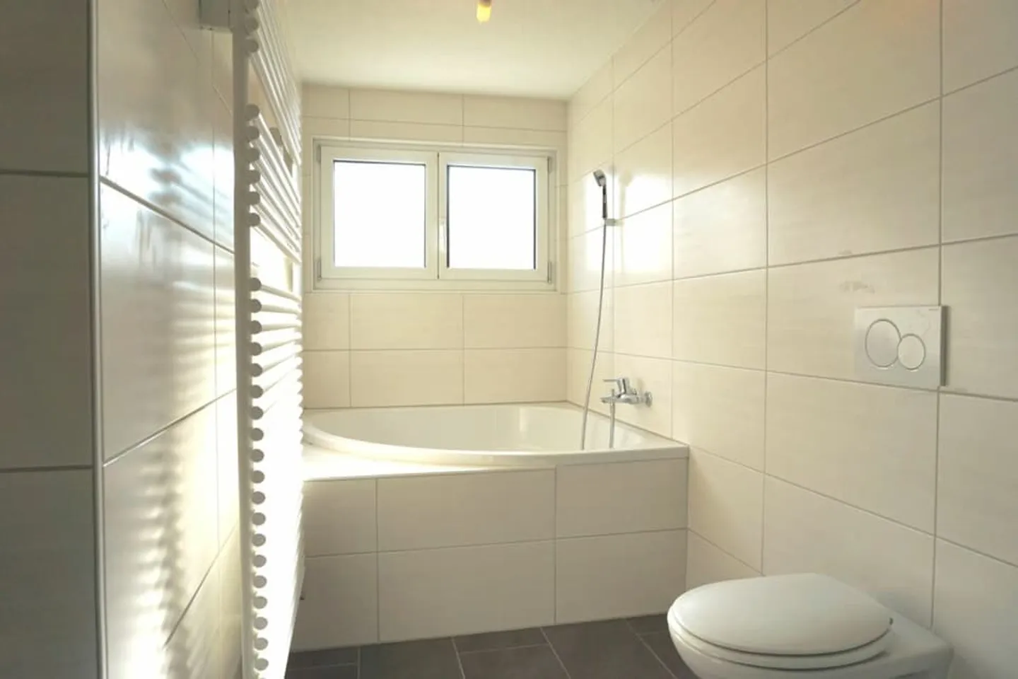 Appartement 4,5 pièces ensoleillé - Photo 5 sur 12