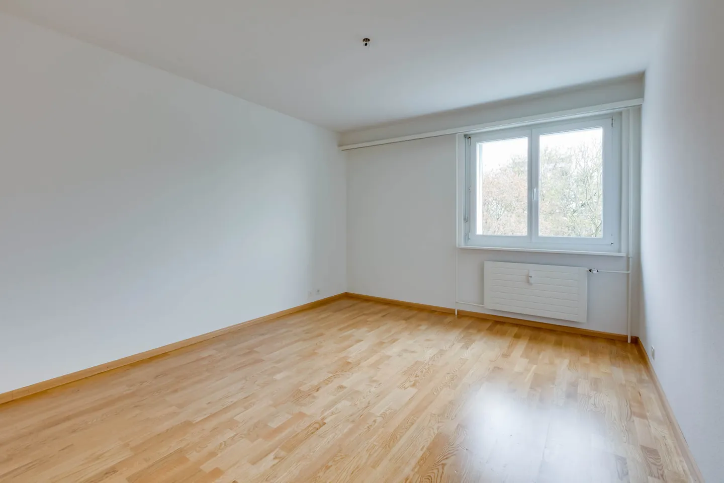 Modern Apartment with Balcony - Photo 4 of 12
