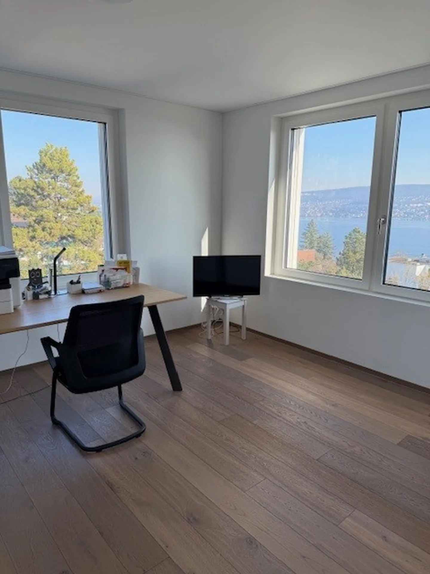 Exclusive Apartment with Lake View - Photo 8 of 10