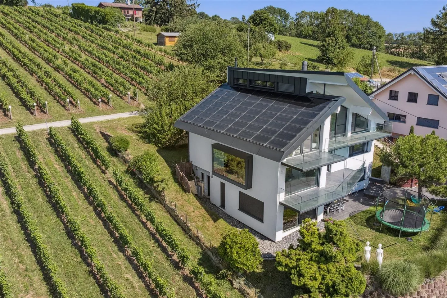Villa di Eccezione con Vigneti, Vista a 180° sul Lago di Ginevra - Foto 10 di 11
