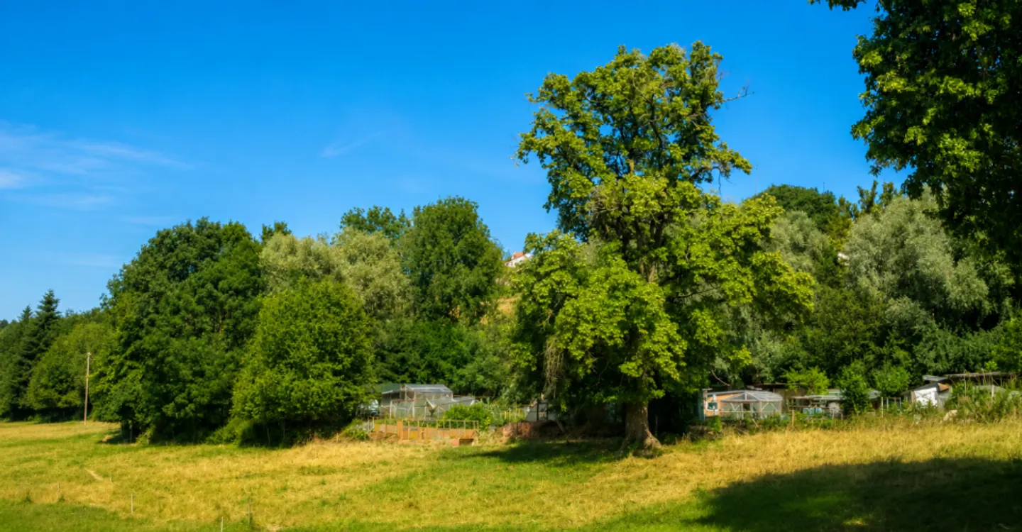 Terreno edificabile - Foto 1 di 1