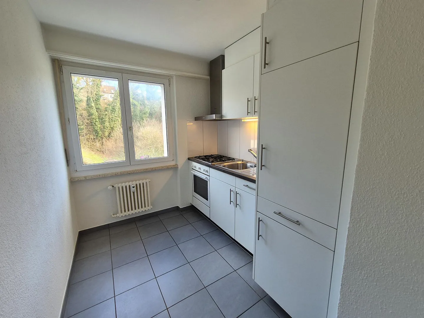 Quiet apartment with a view over Dornach - Photo 3 of 7