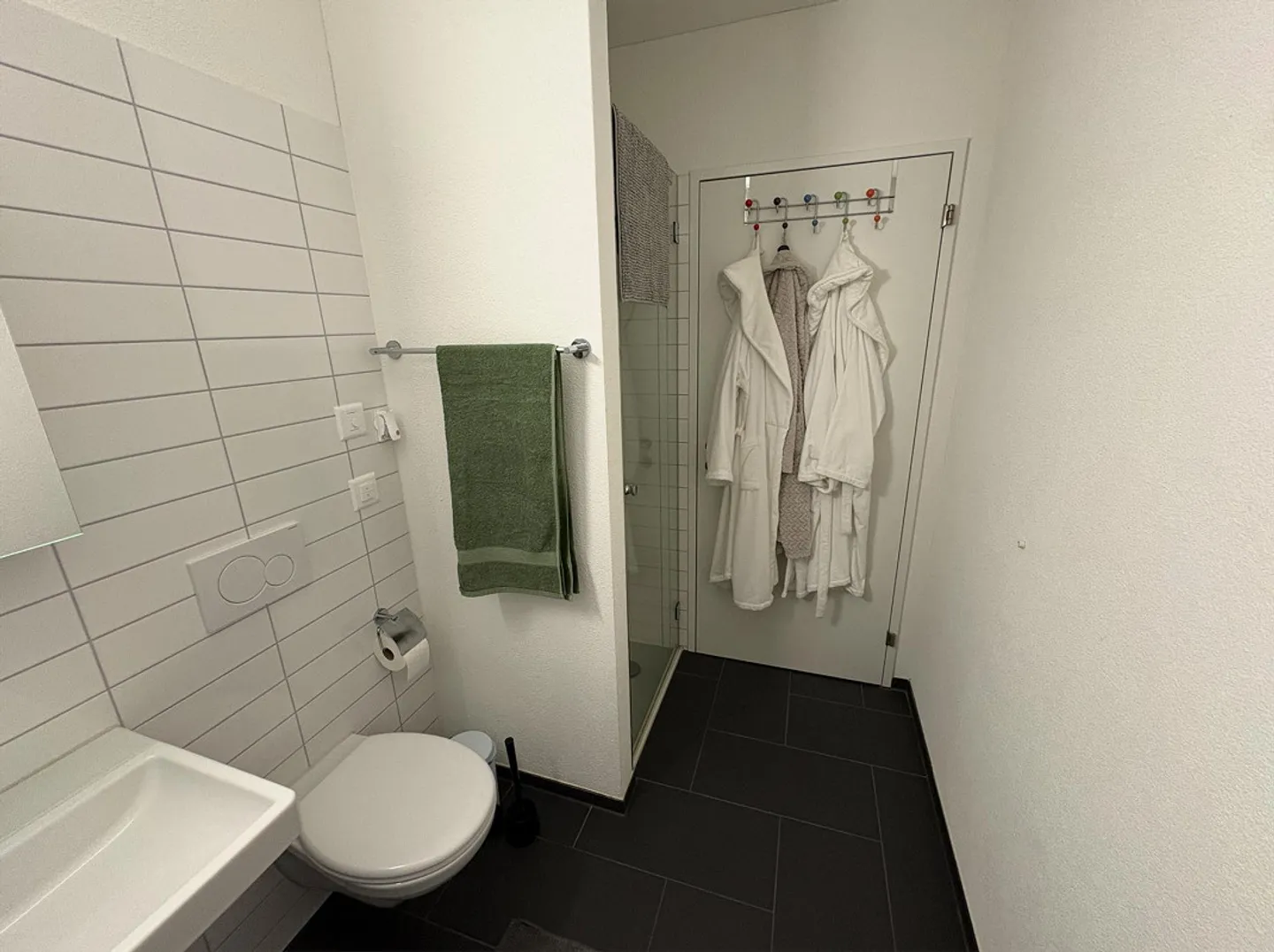 Modern Apartment 2.5 - Photo 10 of 14