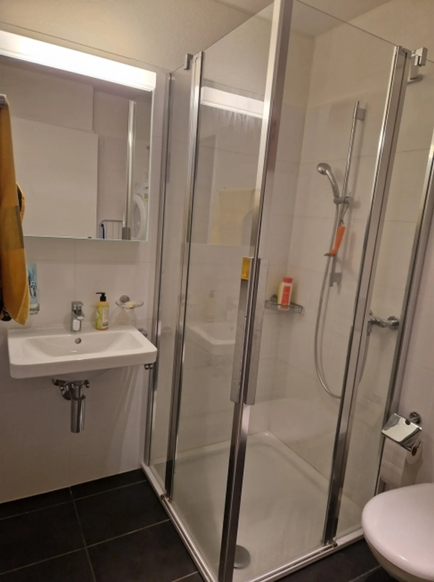 «APPARTAMENTO 3½ LOCALI A LOCARNO (TI), ARREDATO, TEMPORANEO» - Foto 5 di 8