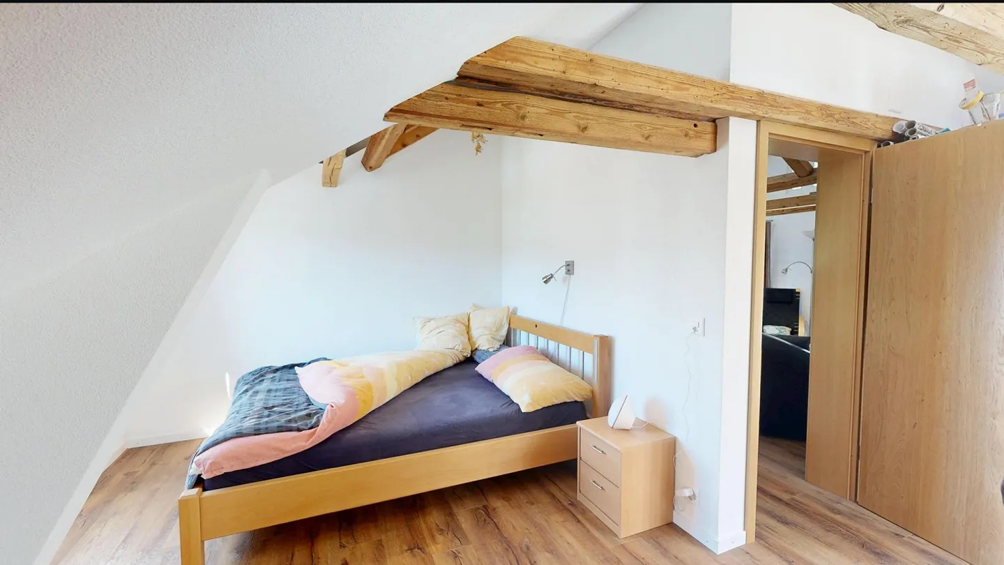 Multi-family house with 3 apartments, potential and attractive residential location - Photo 9 of 21