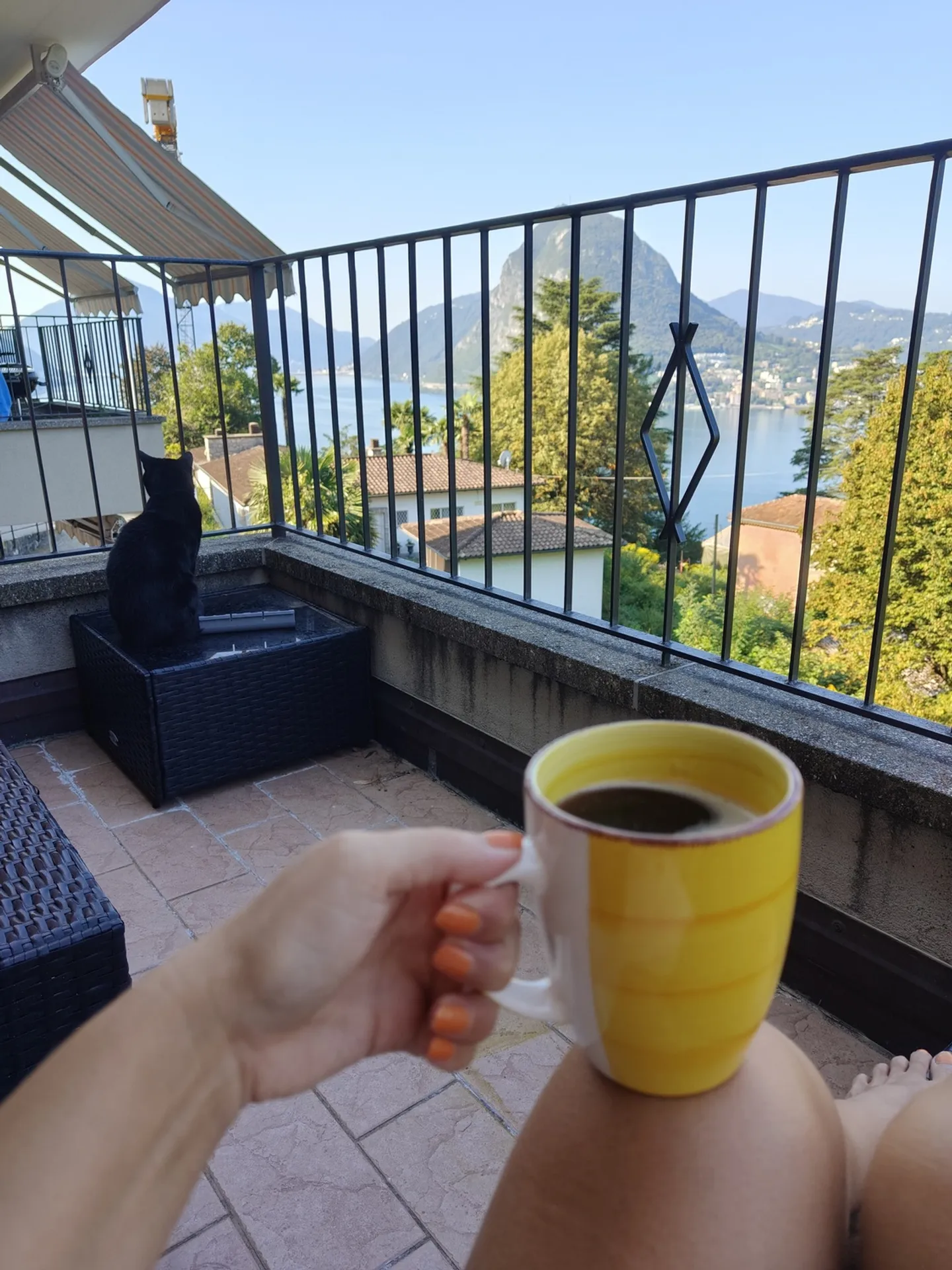 APPARTAMENTO 2½ STANZE A RUVIGLIANA (TI), ARREDATO, TEMPORANEO - Foto 8 di 9