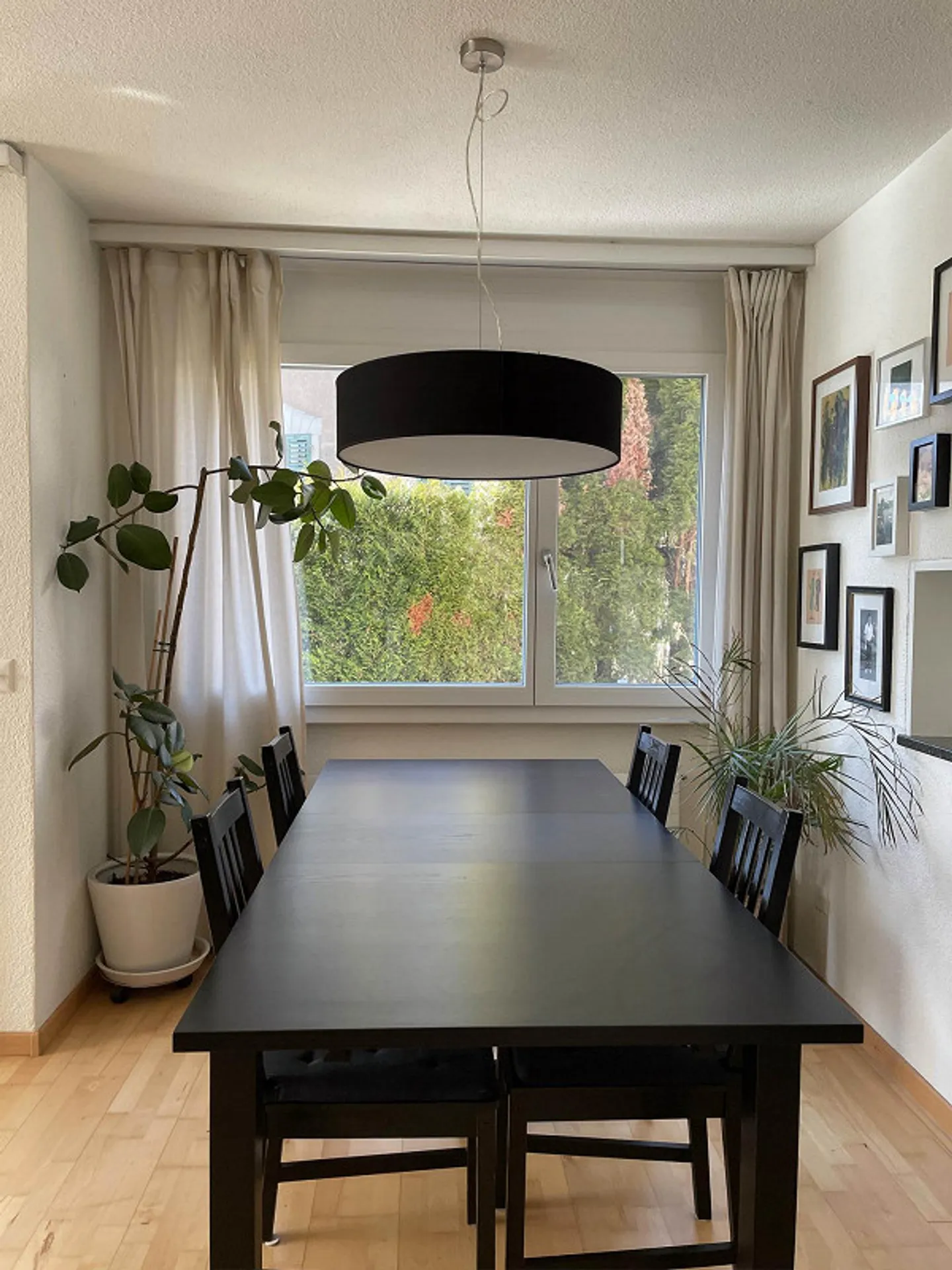 Moderno appartamento con giardino di 3,5 stanze con molta privacy - Foto 14 di 16