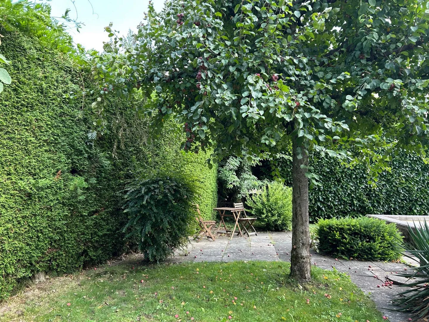 Appartement central de 4 pièces avec jardin privé, machine à laver et équipements modernes avec VUE INCROYABLE SUR LES MONTAGNES - Animaux acceptés - Photo 11 sur 11