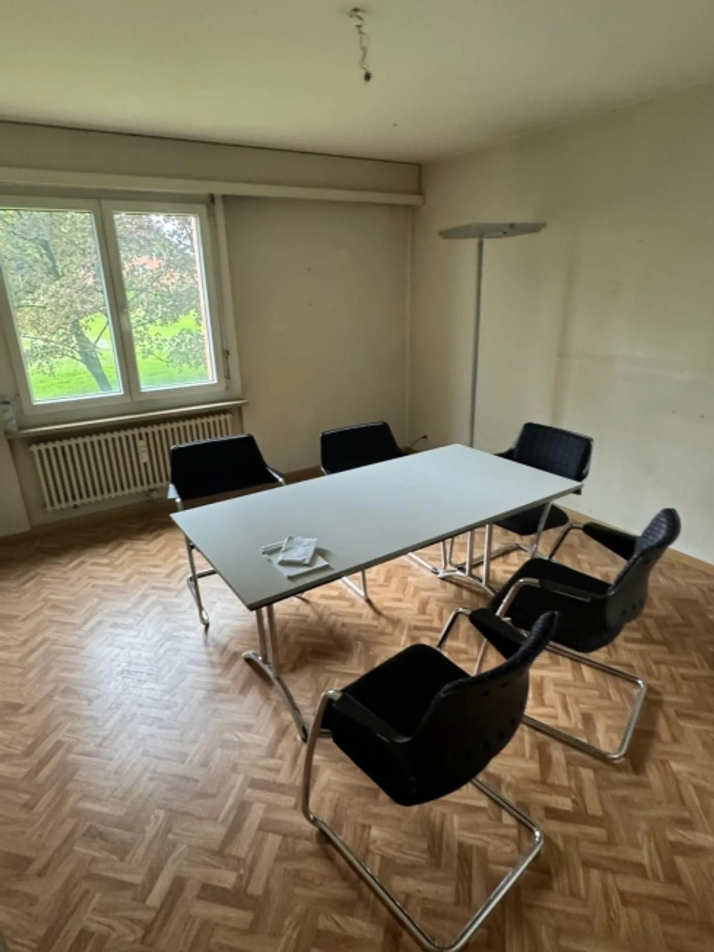 Central 3-Room Apartment 10 min from Basel City Center - Photo 2 of 10