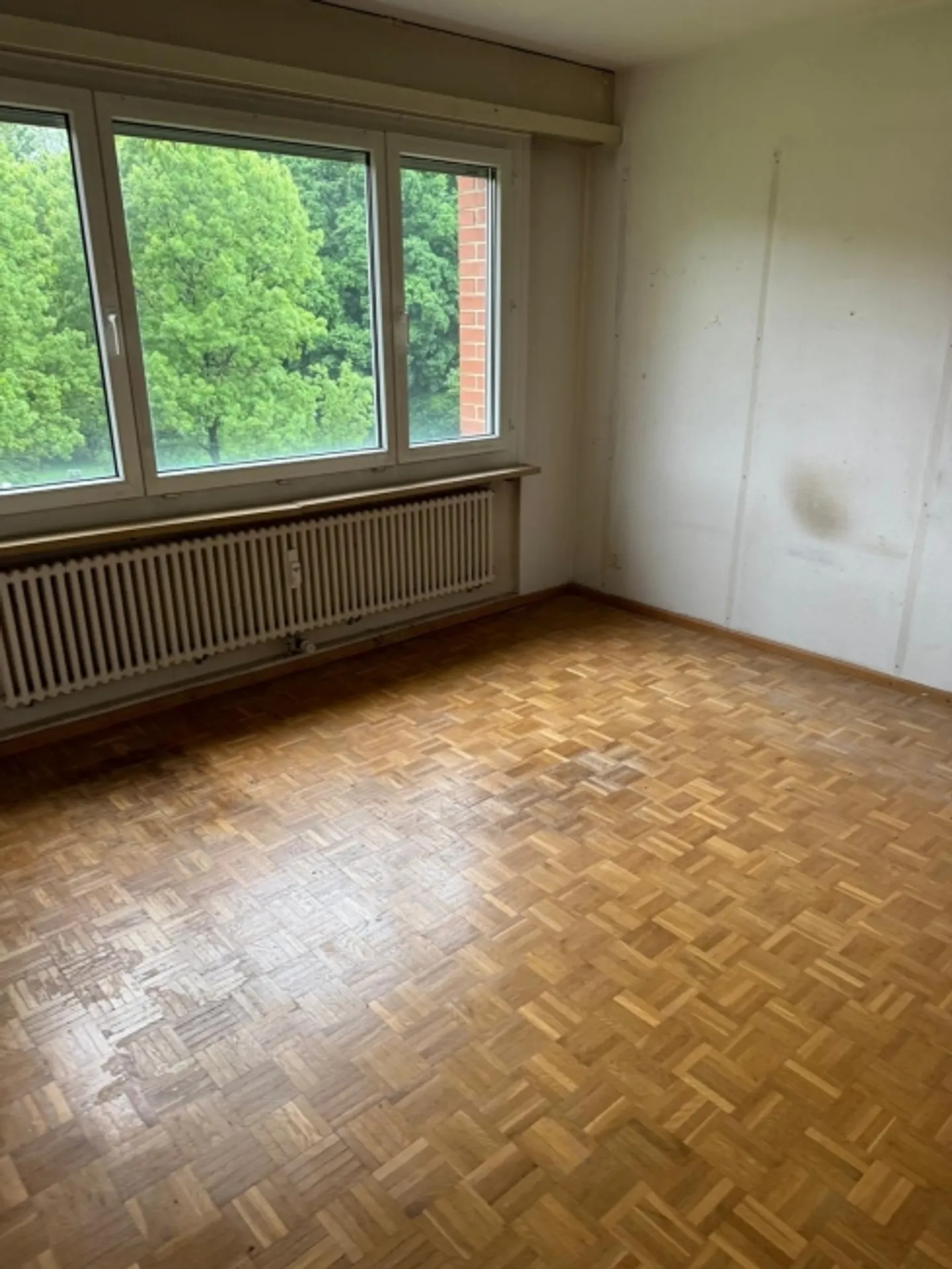 Central 3-Room Apartment 10 min from Basel City Center - Photo 3 of 10