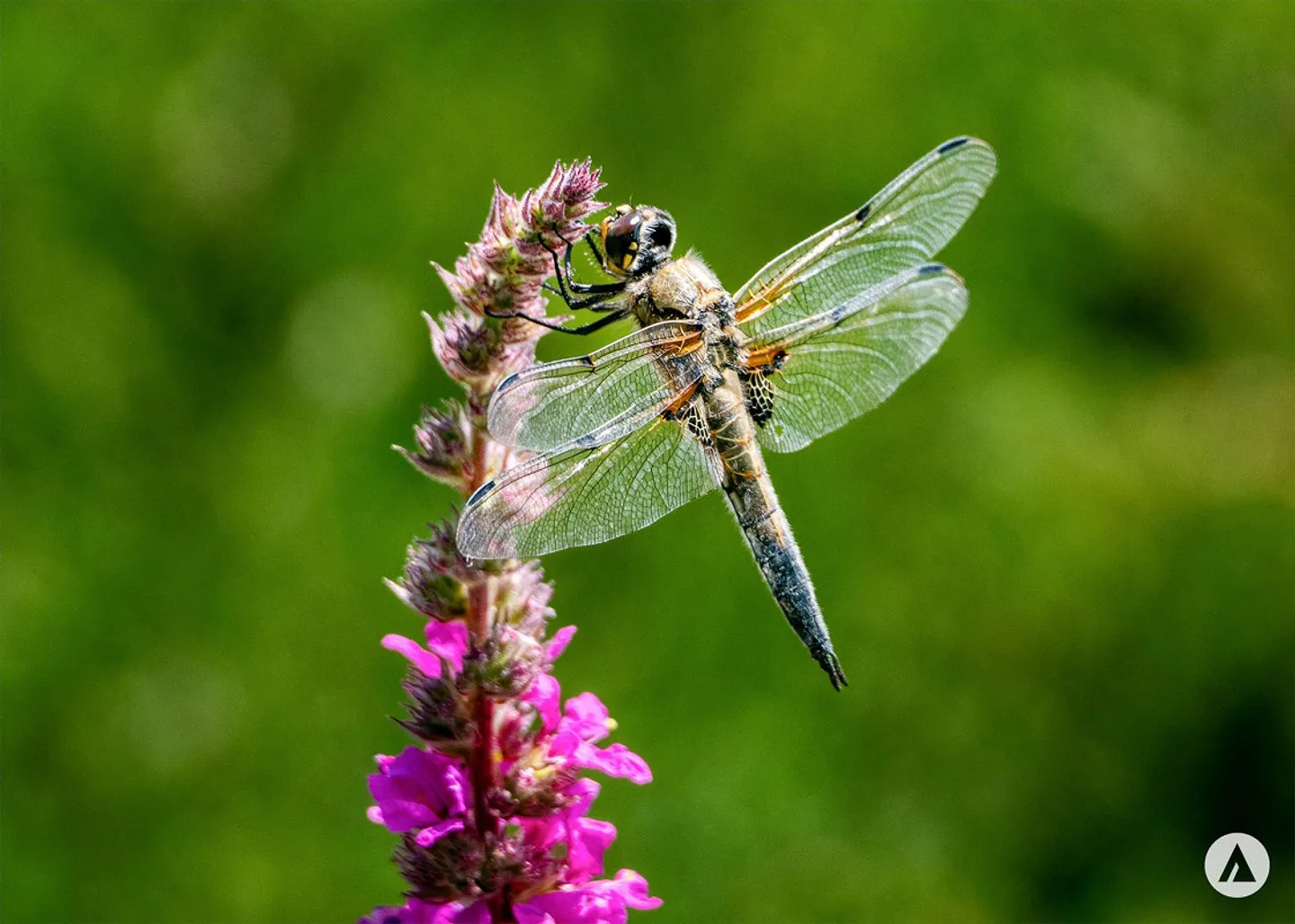 A Dream House in Ortbühl - Quiet and Sunny - Photo 3 of 13