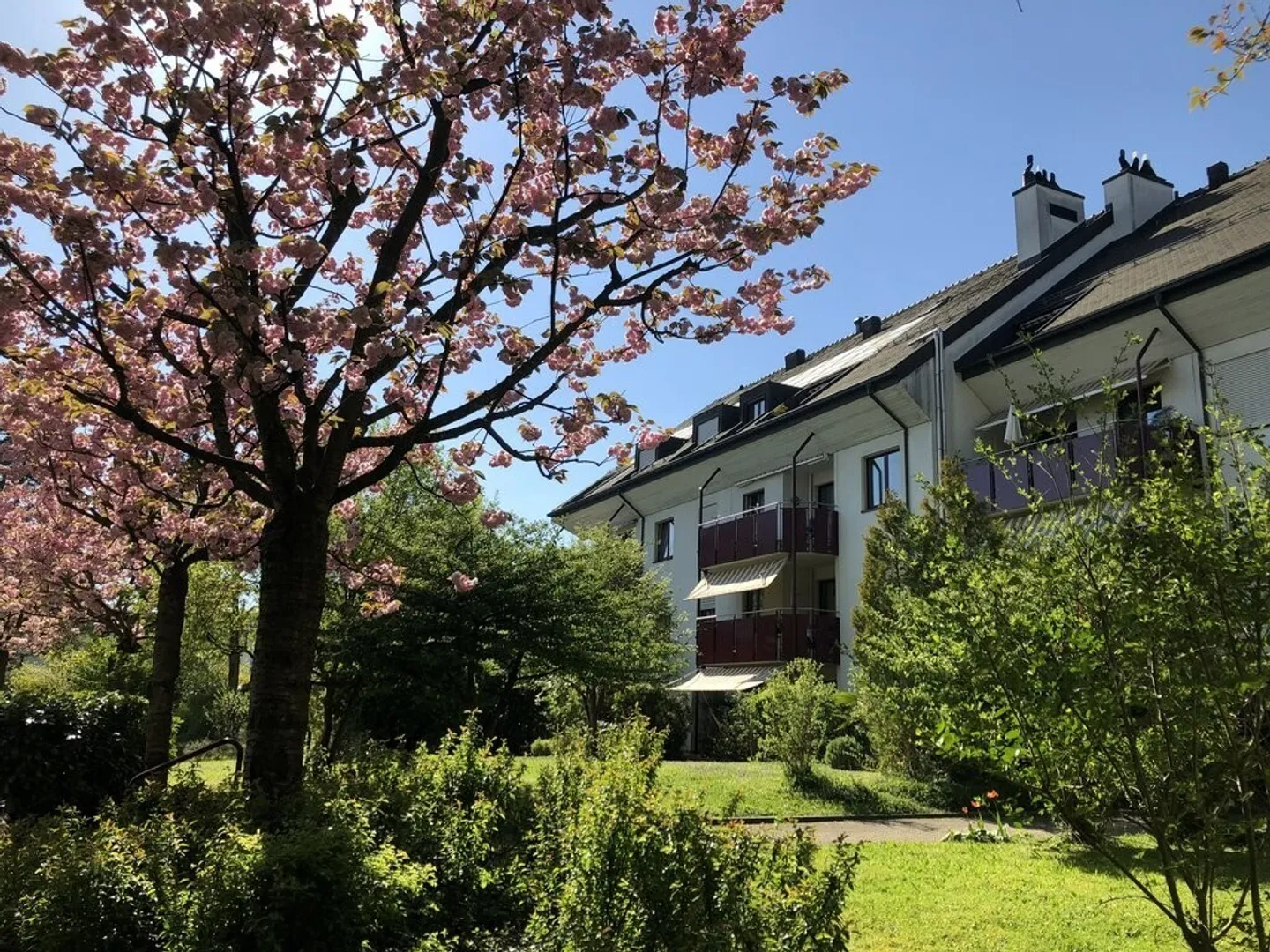 Charmante Familienwohnung in Basel - Foto 1 von 9