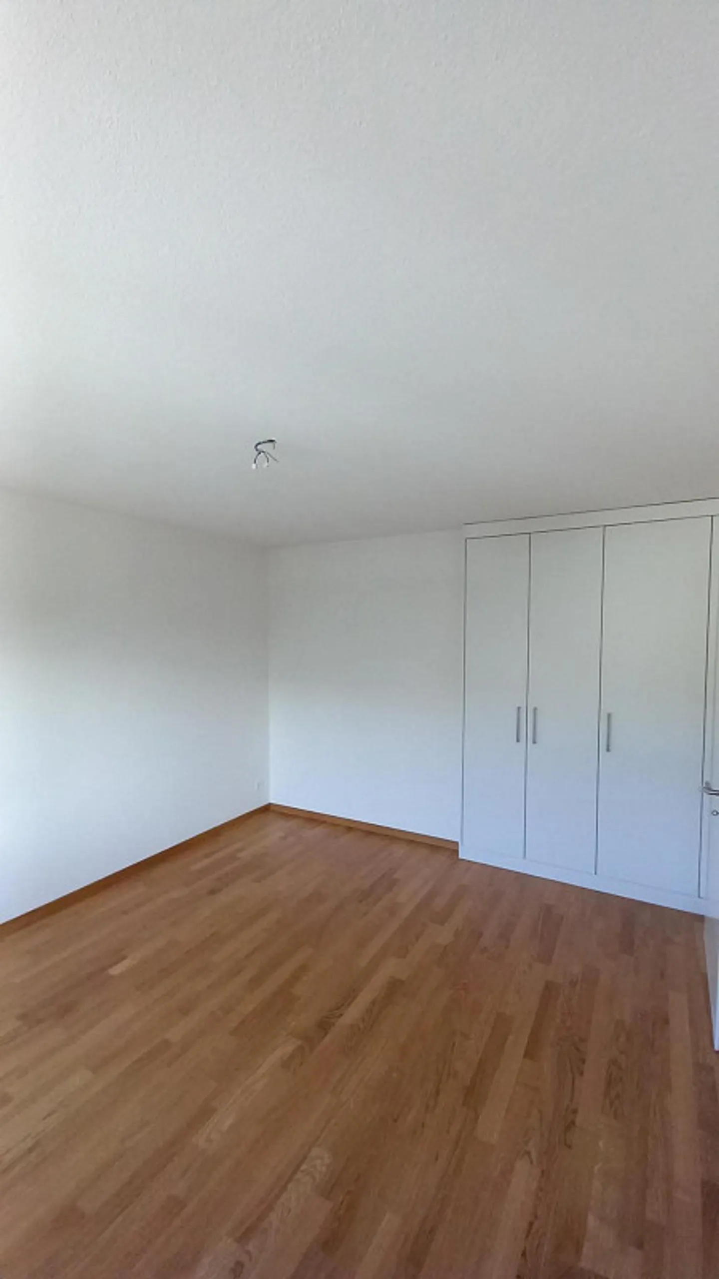 Renoviertes Apartment in zentraler Lage - Foto 3 von 7