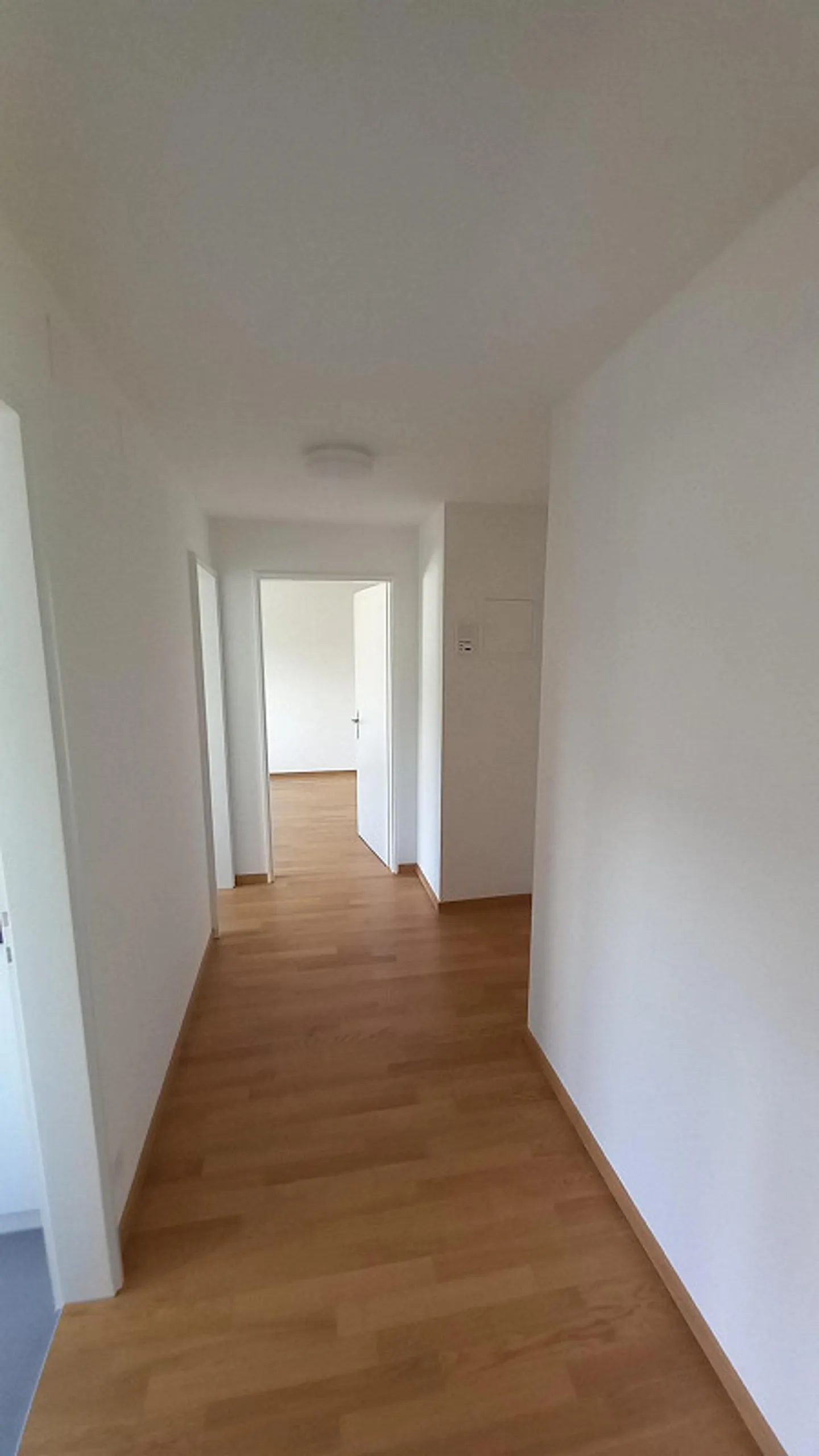 Renoviertes Apartment in zentraler Lage - Foto 4 von 7