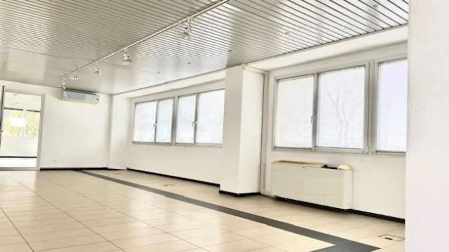 «Geschäftsräume mit separatem Eingang» - Foto 10 von 13