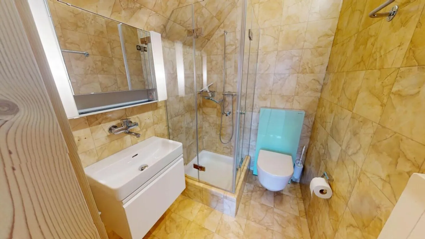 Spacious, Charming Penthouse - Two Units, One Home - Photo 10 of 16