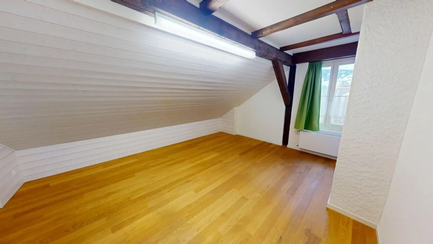 Spacious, Charming Penthouse - Two Units, One Home - Photo 12 of 16