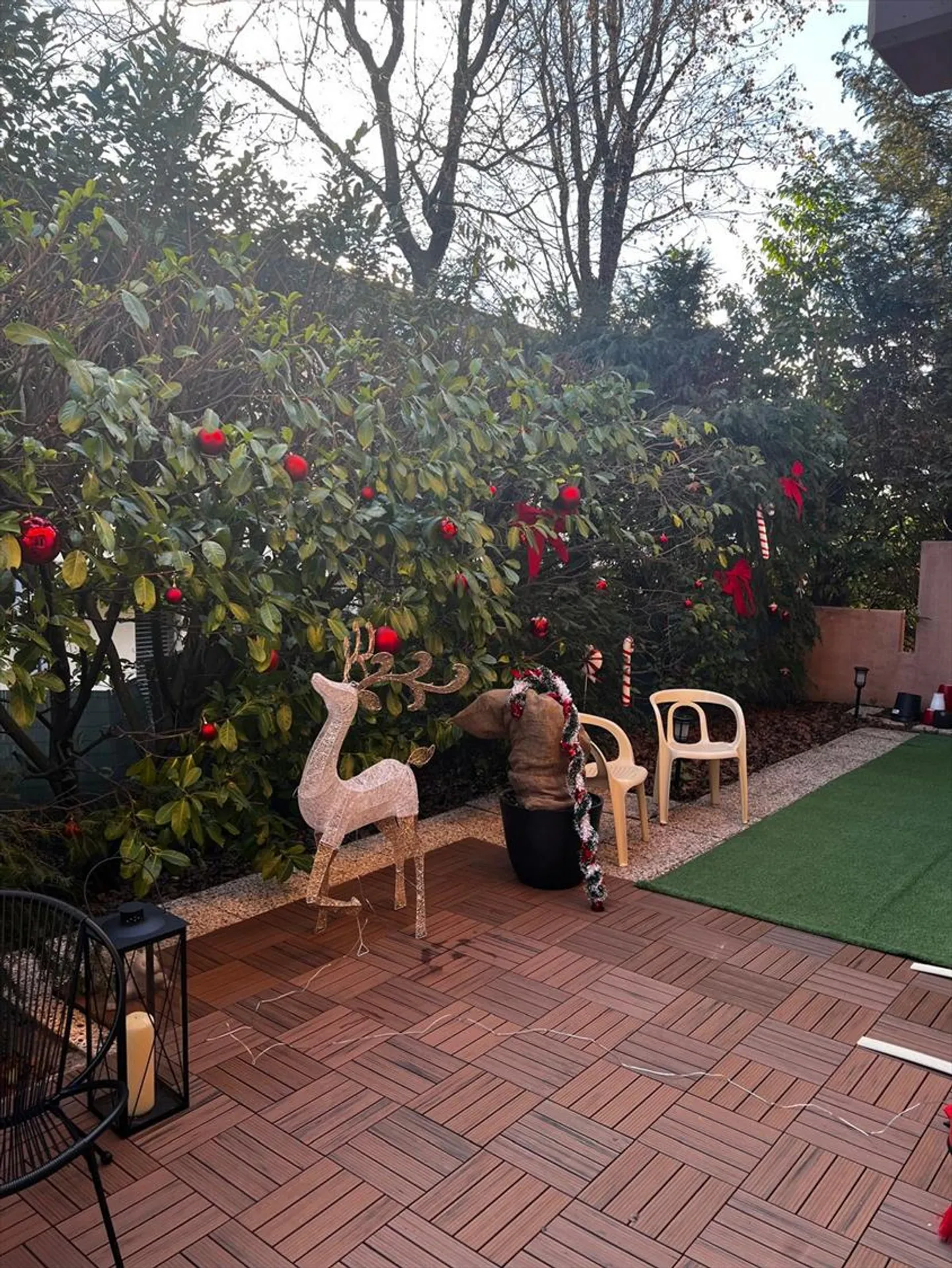 5 Room Apartment - Photo 2 of 5