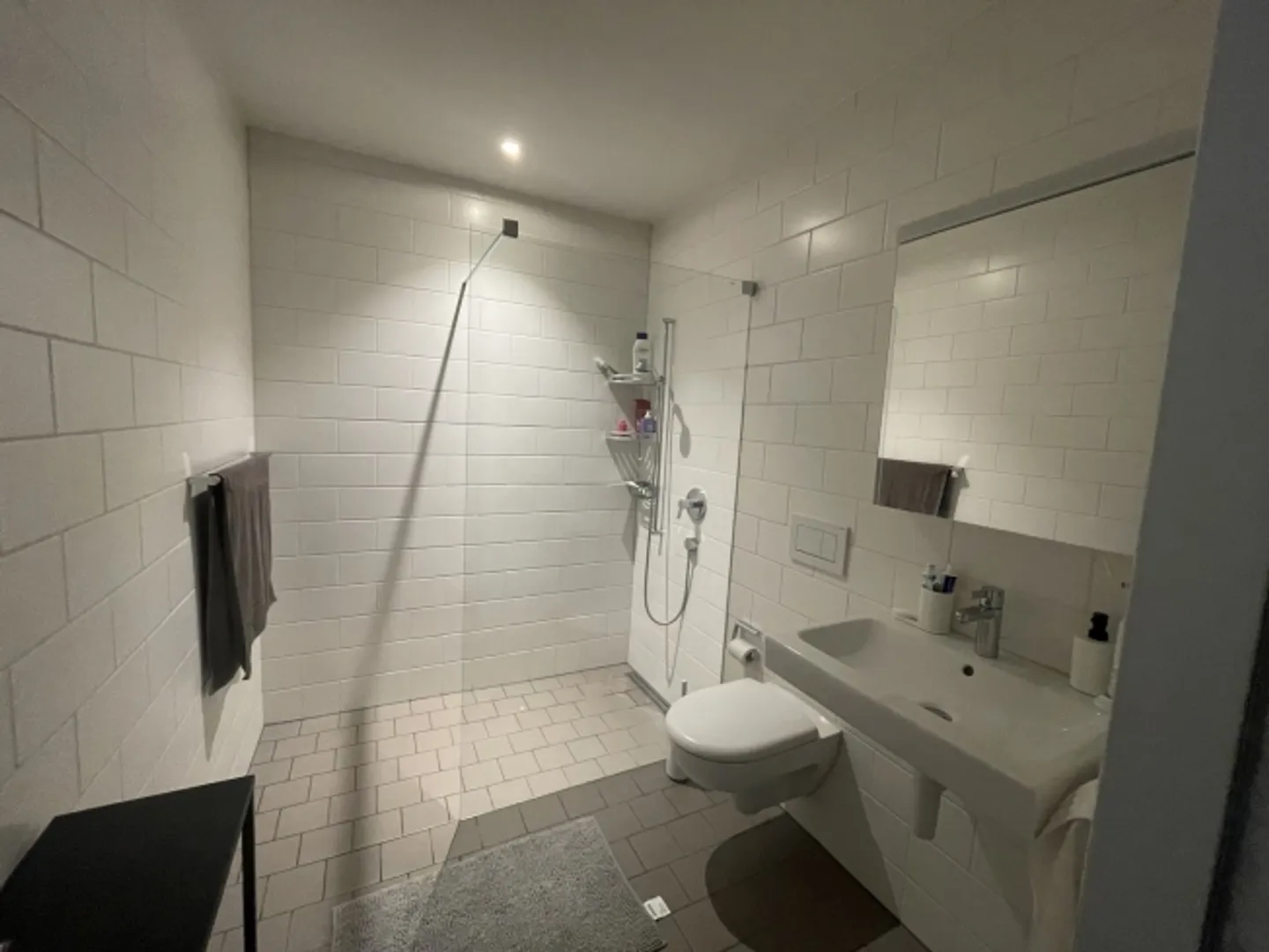 2½ ROOM APARTMENT IN ZURICH - DISTRICT 2 LEIMBACH, FURNISHED, TEMPORARY - Photo 4 of 7