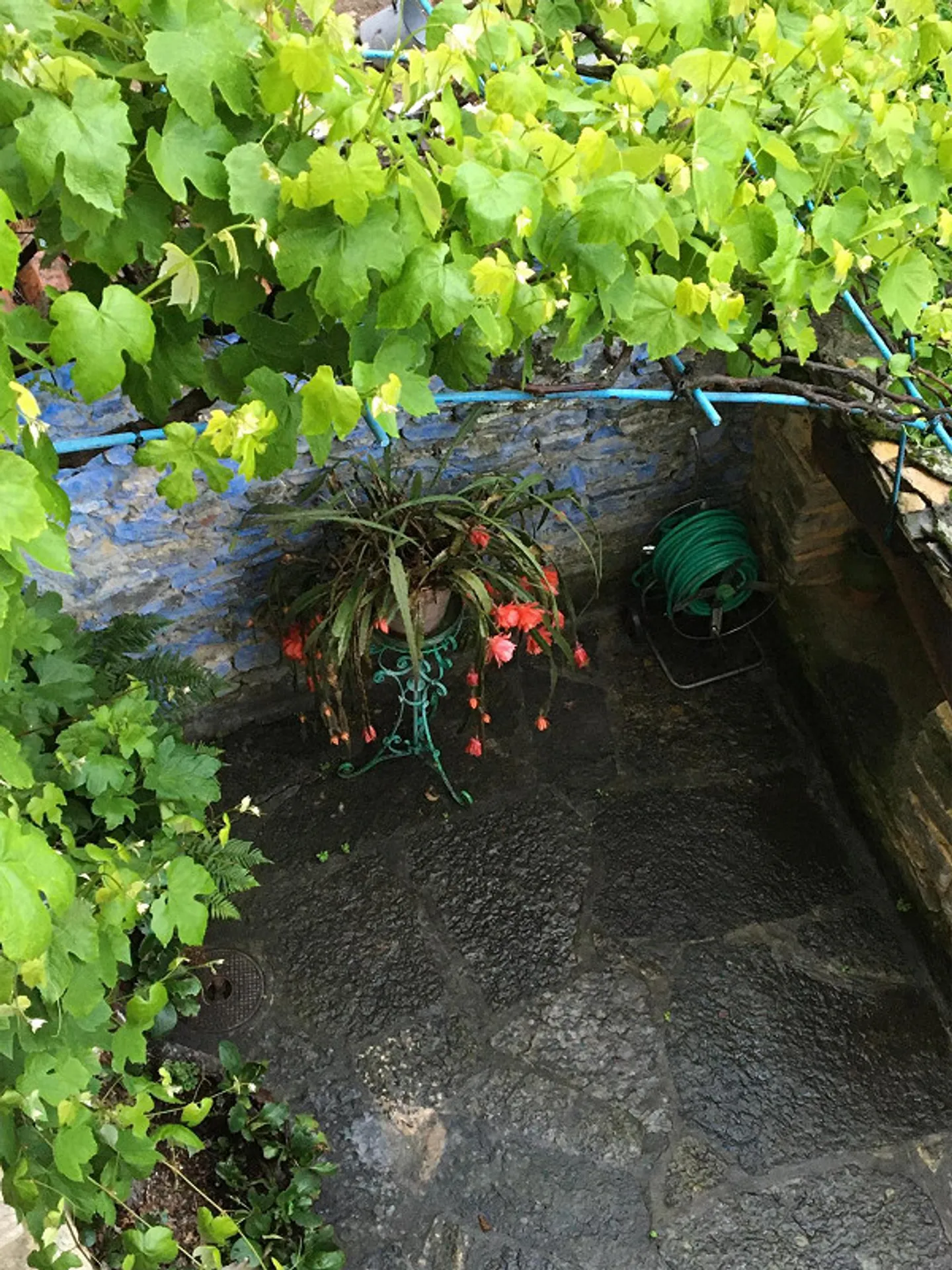 Ferme lombarde rénovée à Casima (Tessin) 6,5 pièces - Photo 3 sur 28
