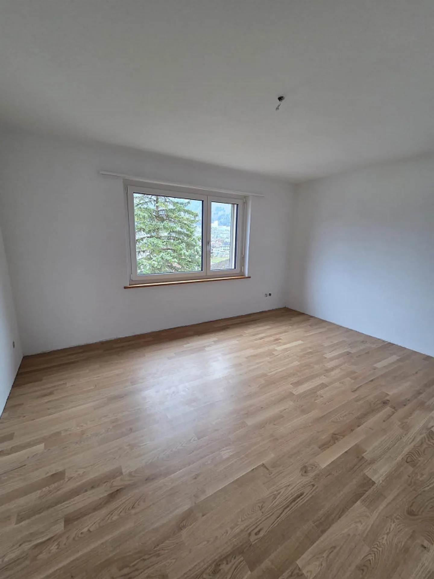Appartement 2,5 pièces fraîchement rénové au 1er étage, emplacement calme et ensoleillé - Photo 6 sur 8