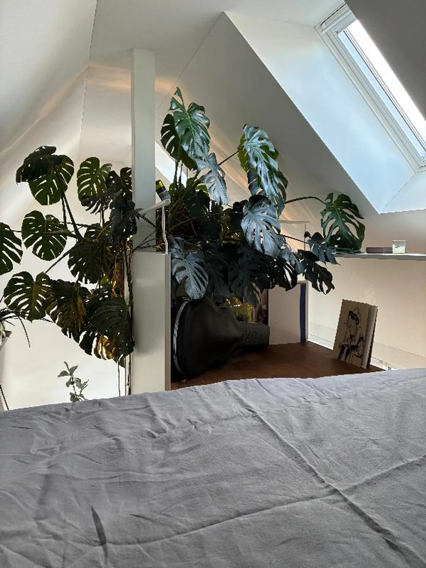 1.5 Room Attic Apartment - Photo 4 of 5