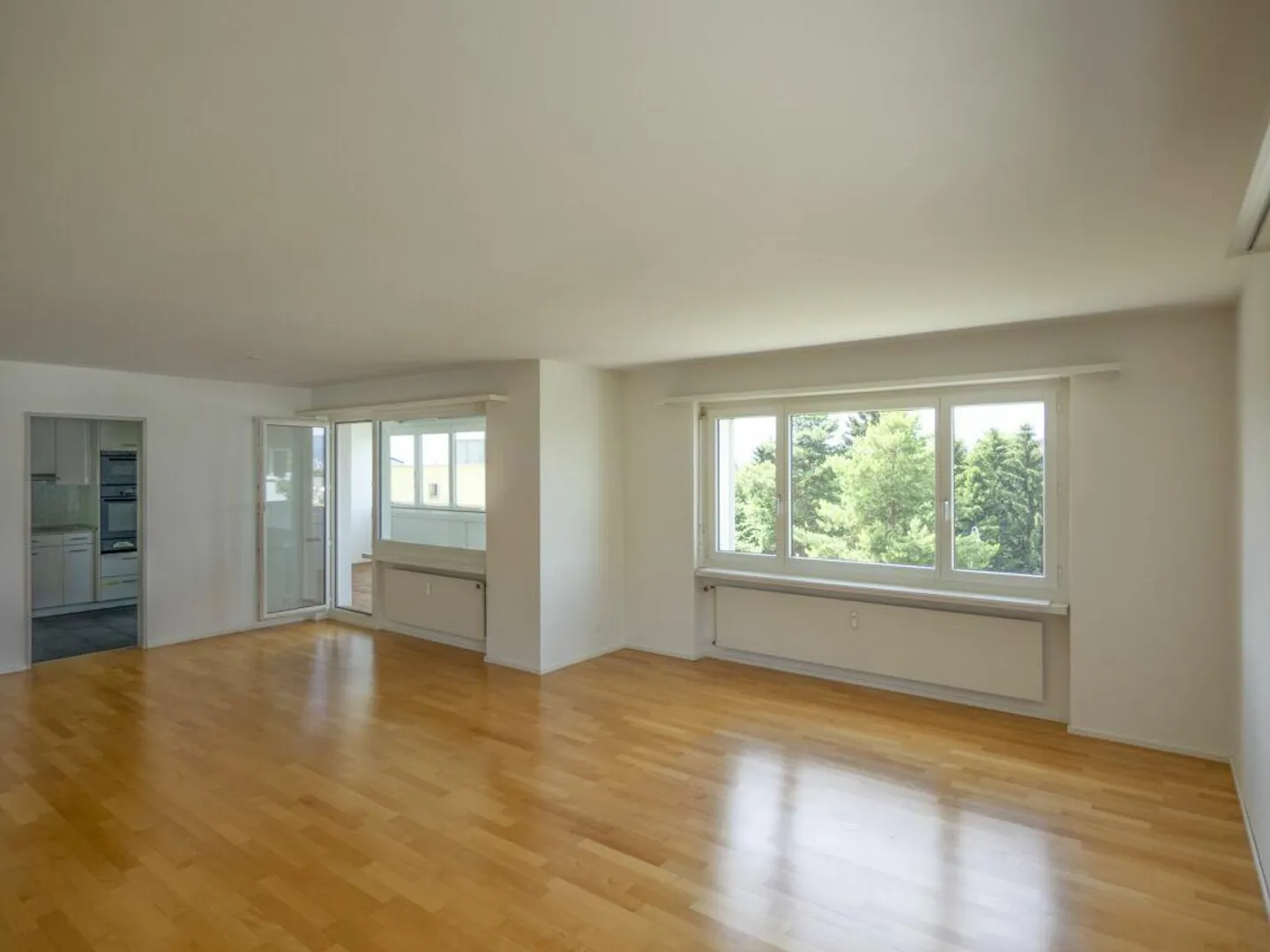 Attractive 4.5-room apartment with great lake view - Photo 3 of 13