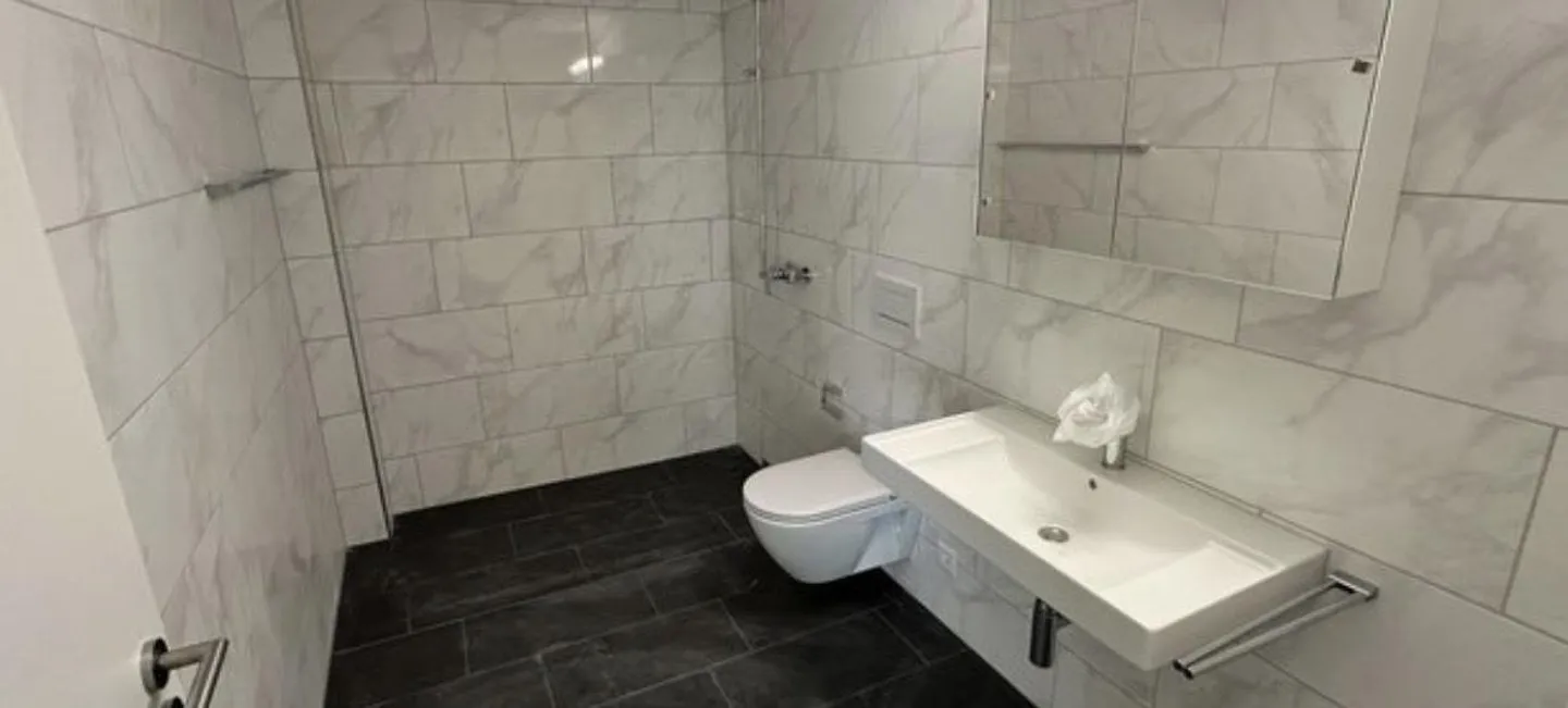 Prima occupazione; appartamento 3.5 stanze Winterthur 8400; Cercasi nuovo inquilino - Foto 5 di 9