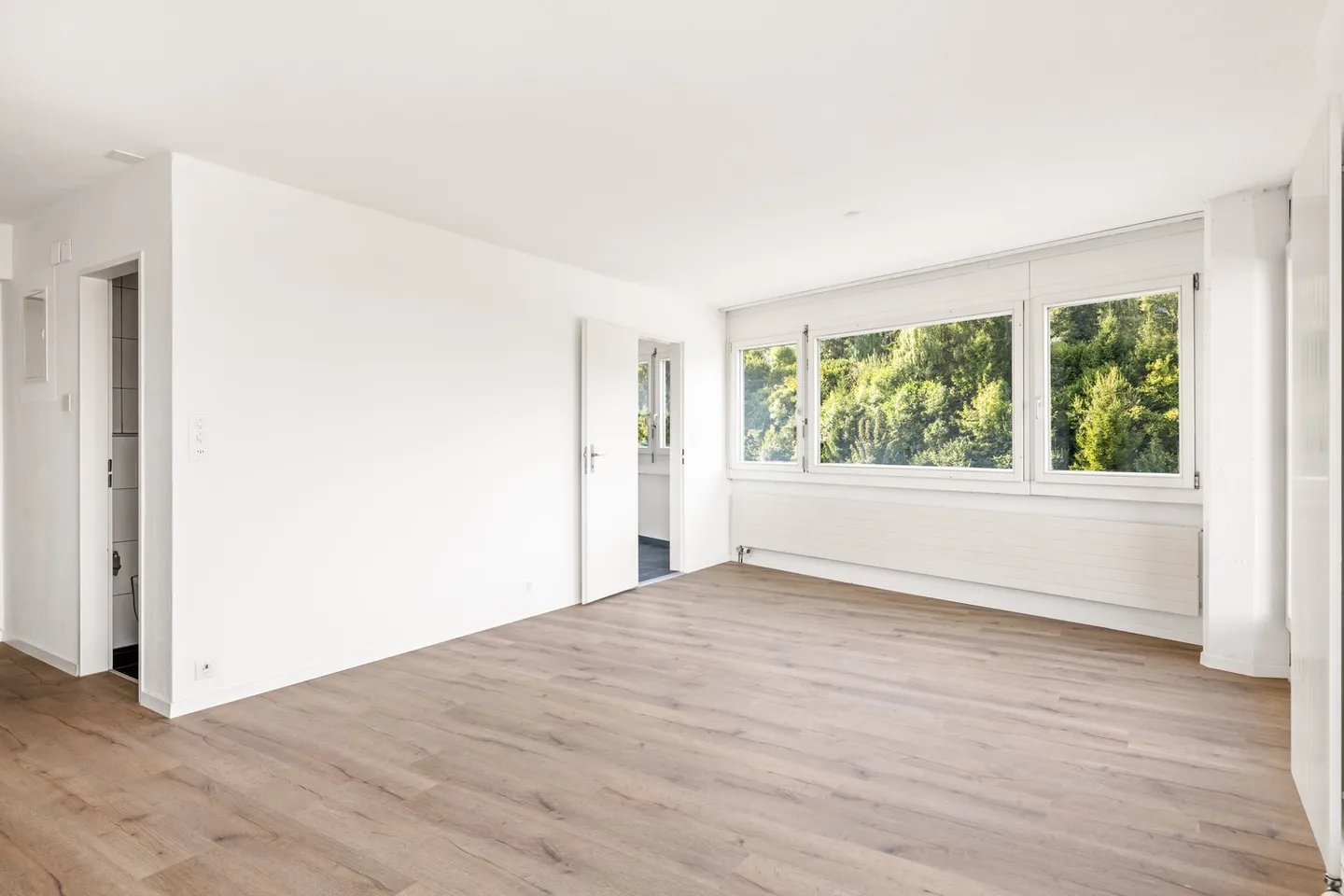 Completely Renovated Premises with Stunning Lake View and Sun Terrace - Photo 10 of 13