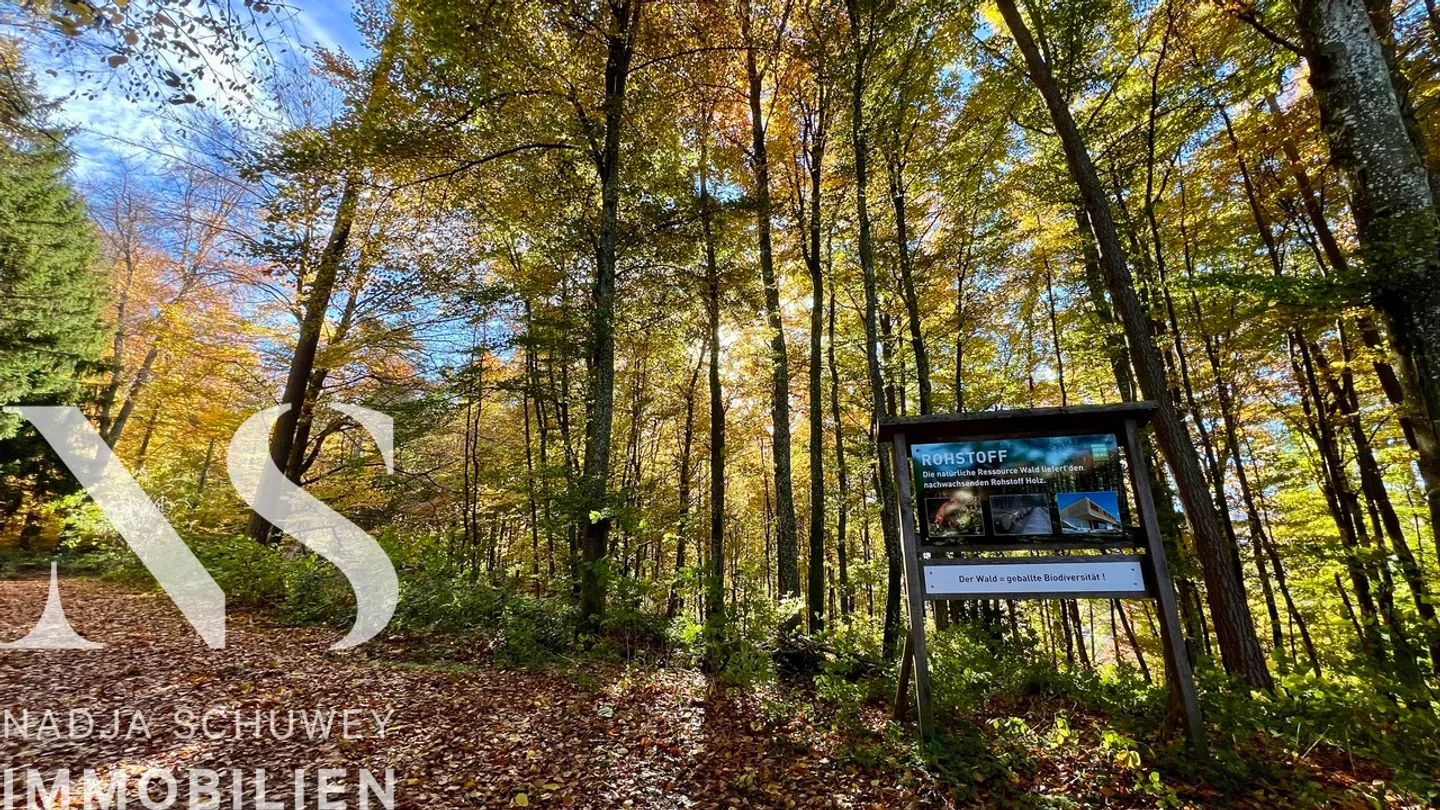Maison en terrasse à vendre - Photo 17 sur 17