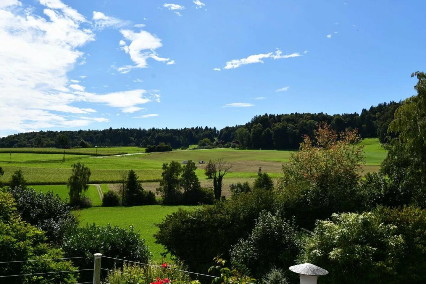 Casa unifamiliare di 5,5 locali molto ben tenuta con bellissimo giardino - Foto 7 di 12