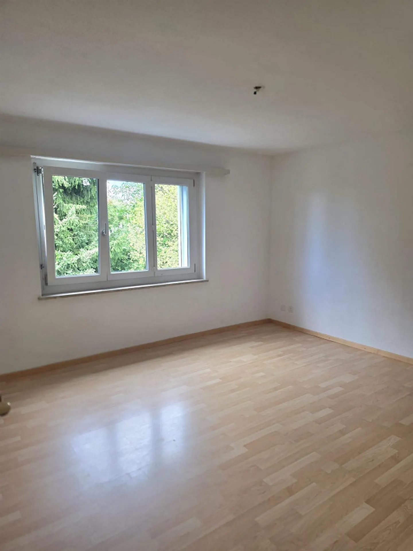 Helle Wohnung mit Balkon - Foto 4 von 8