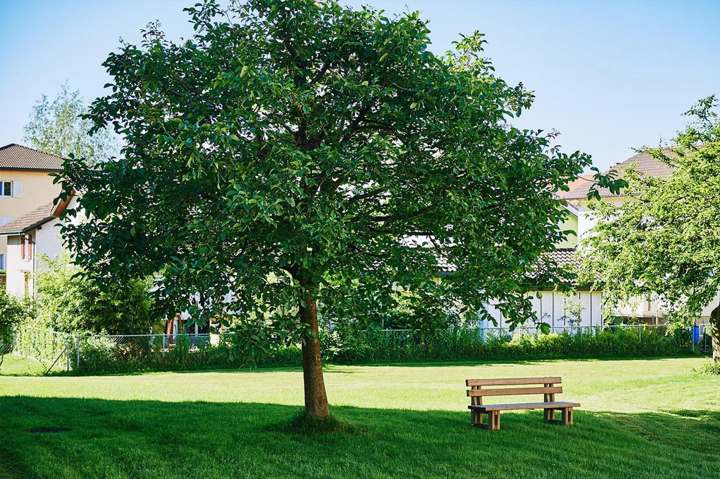 Central Location | Your New Home! - Photo 4 of 5