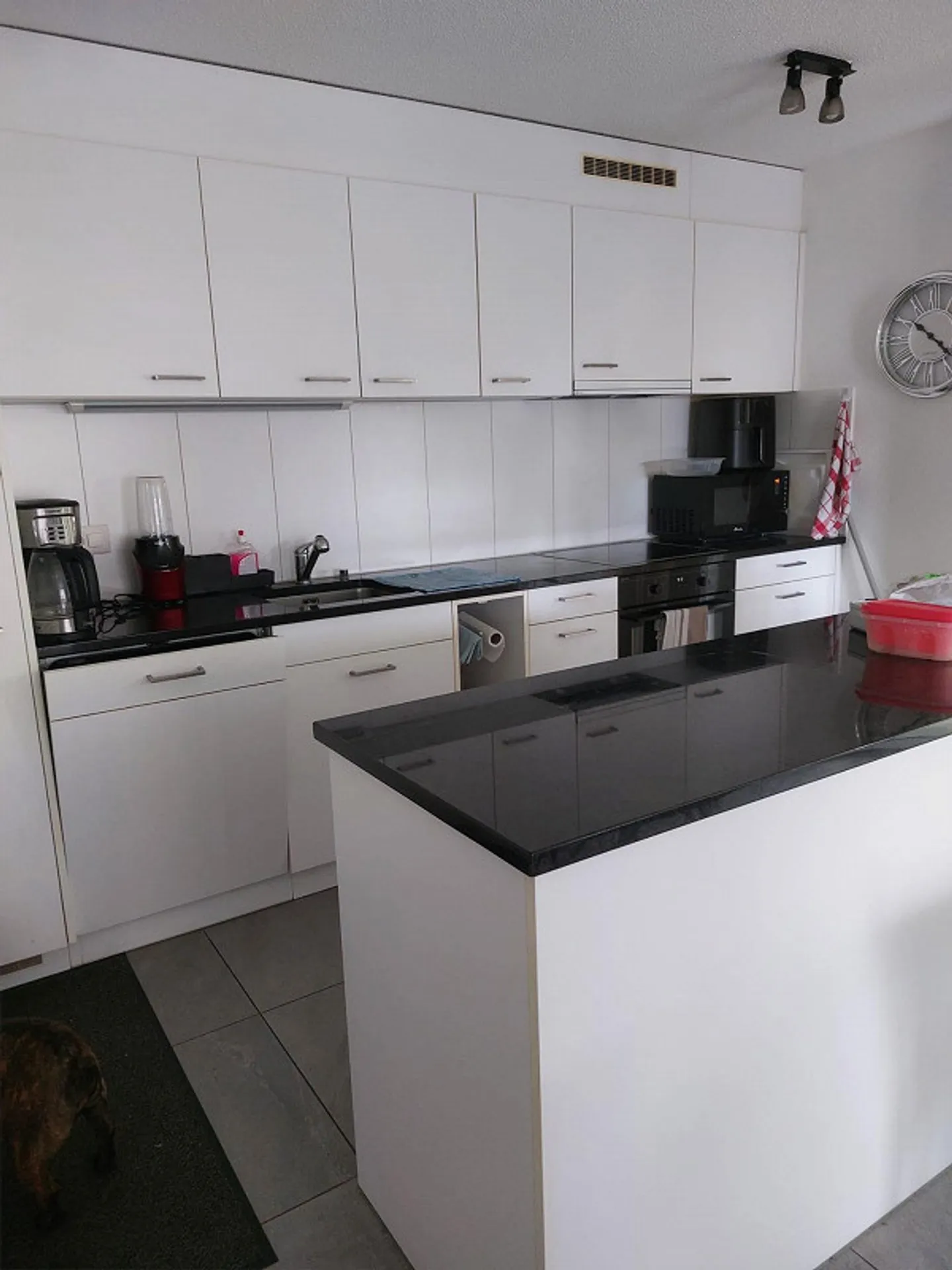 Appartement 3.5 pièces au rez-de-chaussée avec deux terrasses - Photo 5 sur 14