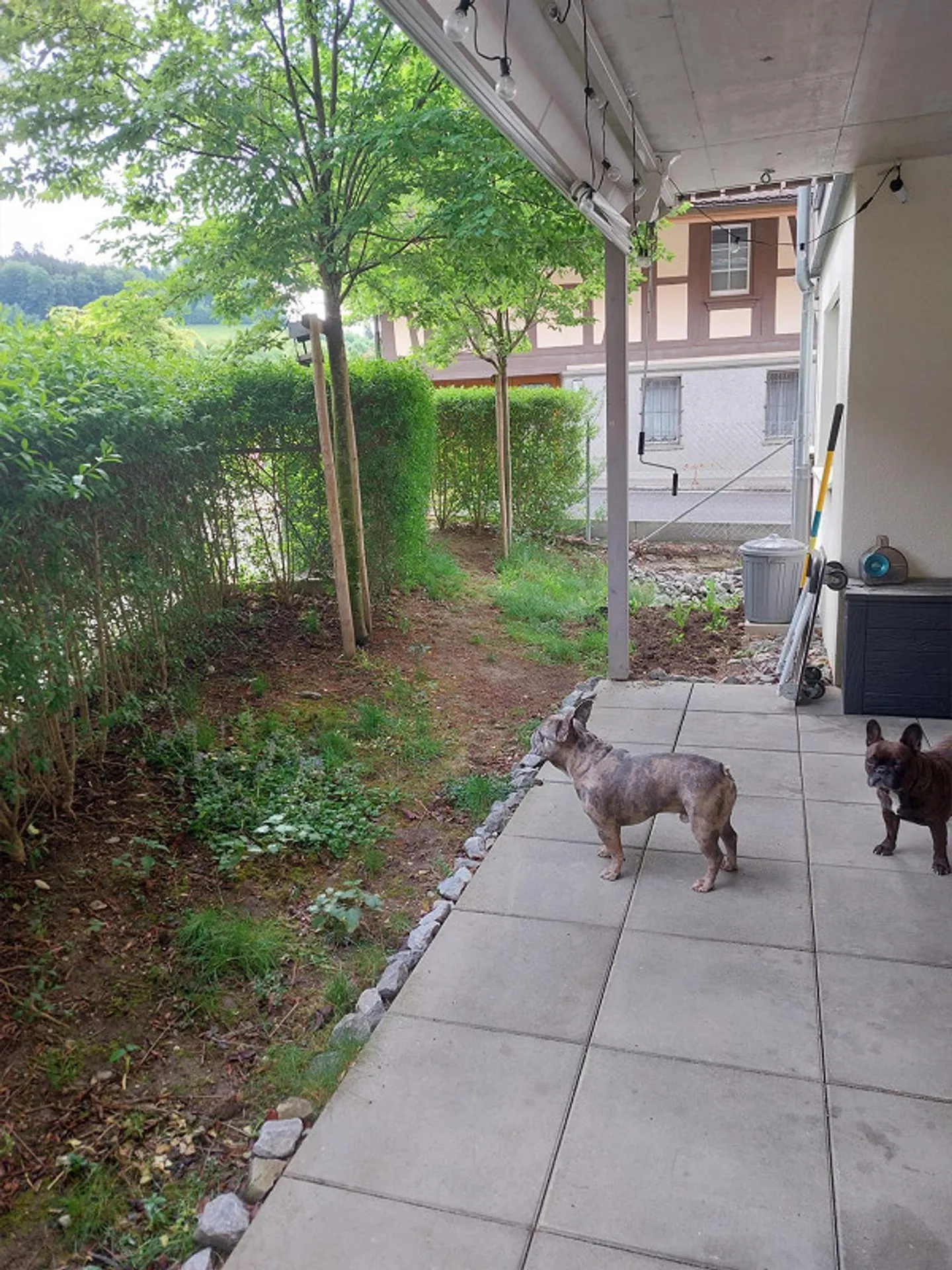 Appartement 3.5 pièces au rez-de-chaussée avec deux terrasses - Photo 12 sur 14