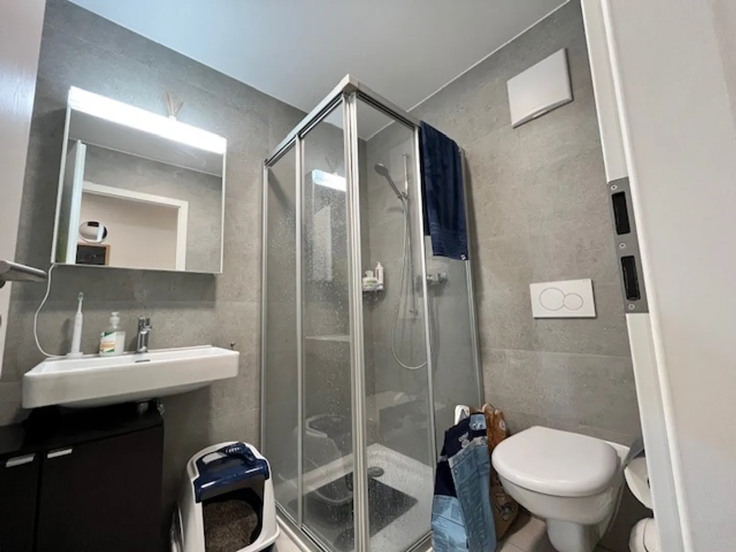 4.5 Room Apartment - Photo 7 of 7